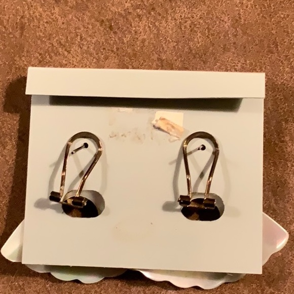 Carved Mother of Pearl Removable Charms on Omega Back Earrings Vintage - Picture 13 of 13